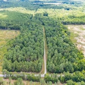 9849-B Twisted Oak Trail-Drone-16