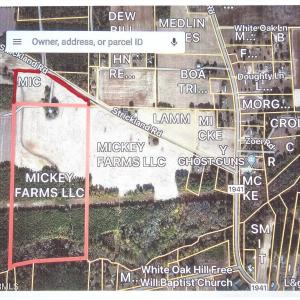 Mickey Farms B and C