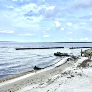 Beach Neuse River