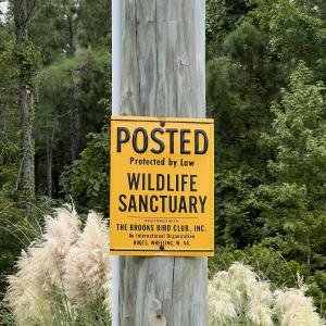 Bird Santuary