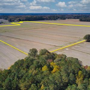 DJI_0007c