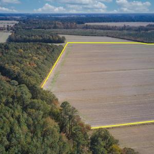 DJI_0006c