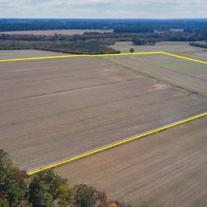 DJI_0005c