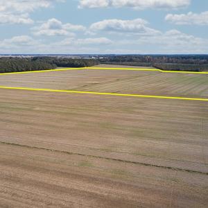 DJI_0002c