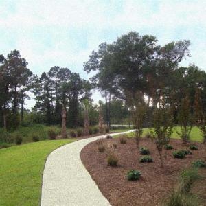 NATURE WALK