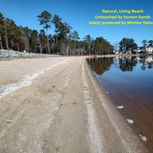 Natural Living Beach, Untouched by Human