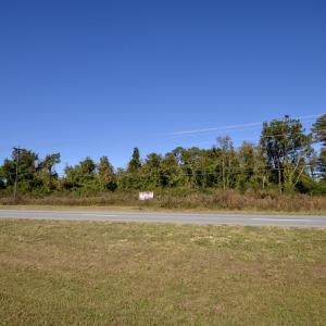 16-DSC_5910