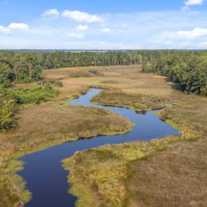 2 Dees Avenue, Bayboro NC