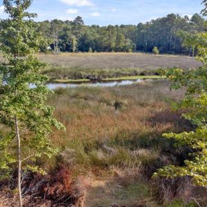 2 Dees Avenue, Bayboro NC