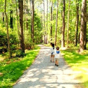 Neighborhood Trails