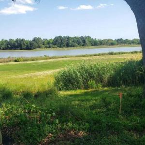 Lot 8 Goose Creek