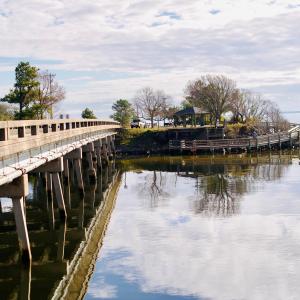 Bridge