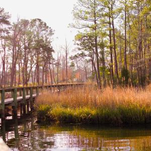 Marsh Walk