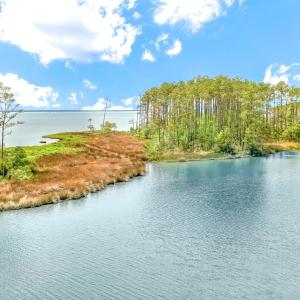203 River Watch (3)