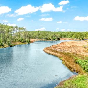 203 River Watch (2)