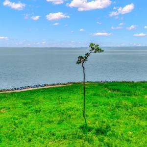 DJI_20250423114440_0097_D-2