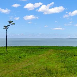 DJI_20250423112609_0047_D-2