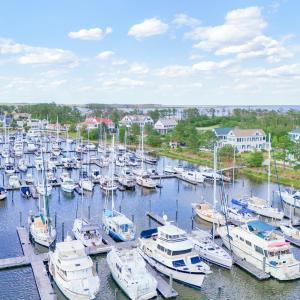 Marina Docks (Large)