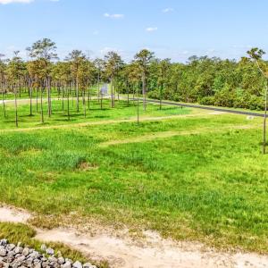 DJI_20250423114052_0084_D-2