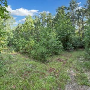 Lamont Norwood Road 3