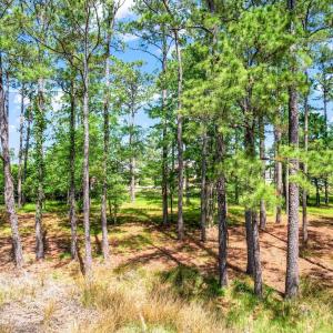 72 Oyster Point Road 38 (12)
