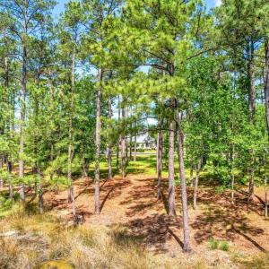 72 Oyster Point Road 38 (5)