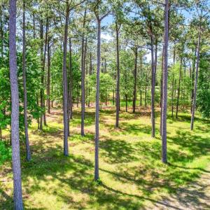 72 Oyster Point Road 38 (14)