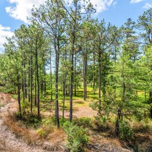 72 Oyster Point Road 38 (17)