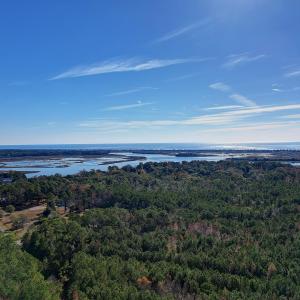 PintailPoint - 14
