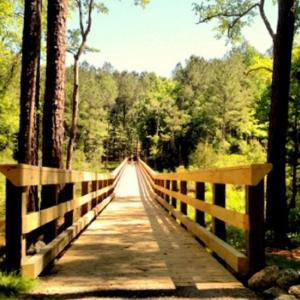 21 Neighborhood Boardwalk