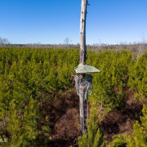 Pender NC 382 - Edits-14