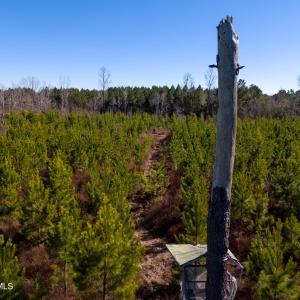 Pender NC 382 - Edits-15