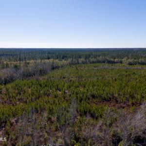 Pender NC 382 - Edits-16