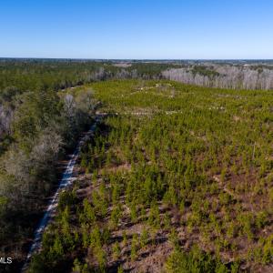 Pender NC 382 - Edits-18