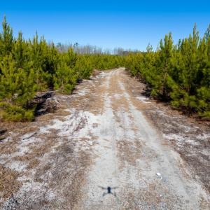 Pender NC 382 - Edits-20