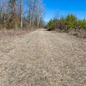 Pender NC 382 - Edits-25