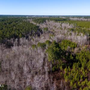 Pender NC 382 - Edits-36