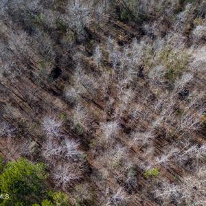 Pender NC 382 - Edits-37