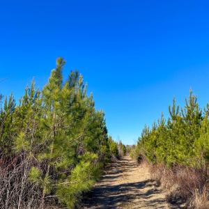 Pender NC 382 - Edits-50