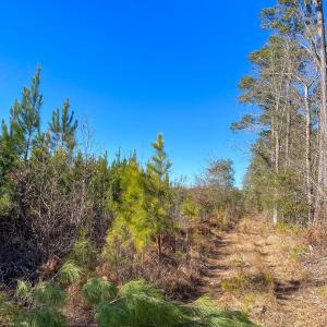 Pender NC 382 - Edits-52