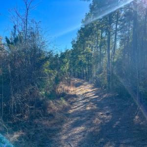 Pender NC 382 - Edits-54