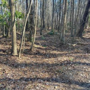 Pender NC 382 - Edits-57