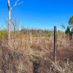 Pender NC 382 - Edits-63