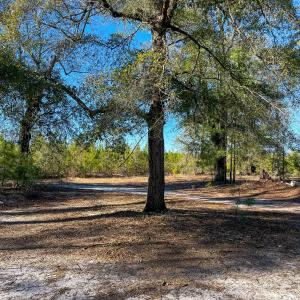 Pender NC 382 - Edits-67