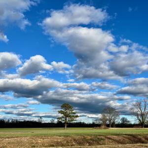 View from Jack Hayes Rd