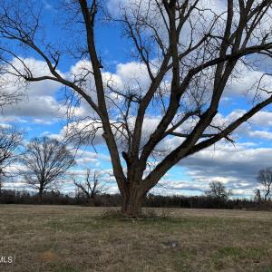 View from Old Lumberton Rd