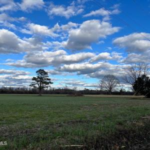 031A87D8-7FFE-413F-83BA-527CEC0BF4FD