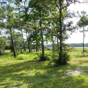 Lot 12 Mill Landing
