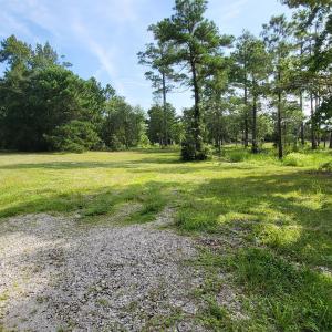 large beautiful lot