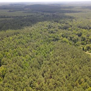 DJI_0168